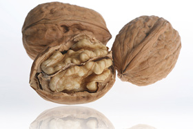 Noix du P�rigord AOC  Cerneaux  extra